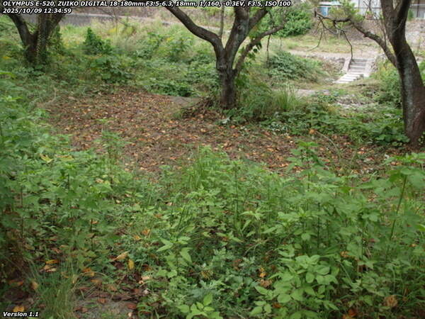 南立石公園町(別府市) 河川敷へは下らない