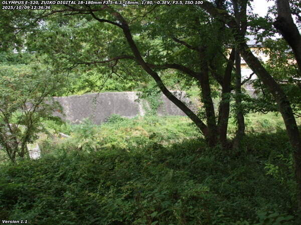 南立石公園町(別府市) 南立石公園から上流へ約150メートルの区間は草ボーボー