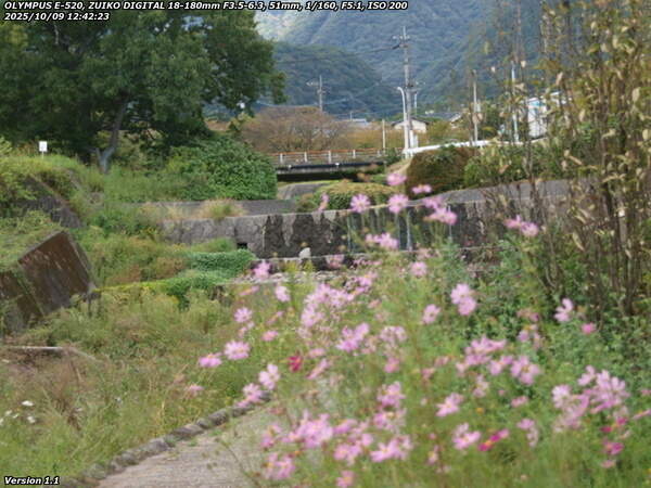 境川(別府市) 西別府橋が近づいてきた