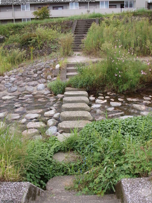 境川(別府市) 飛び石で右岸へ渡って土手上の草地へ