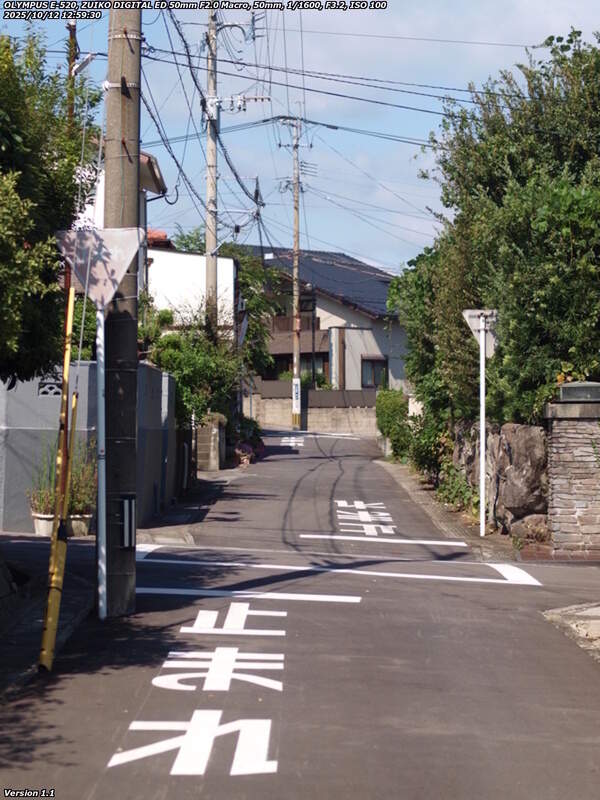 南荘園町(別府市) 南荘園町を境川方面へ向かう