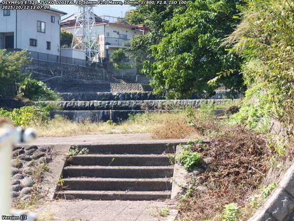 境川(別府市) 河川敷の左岸を上流へ