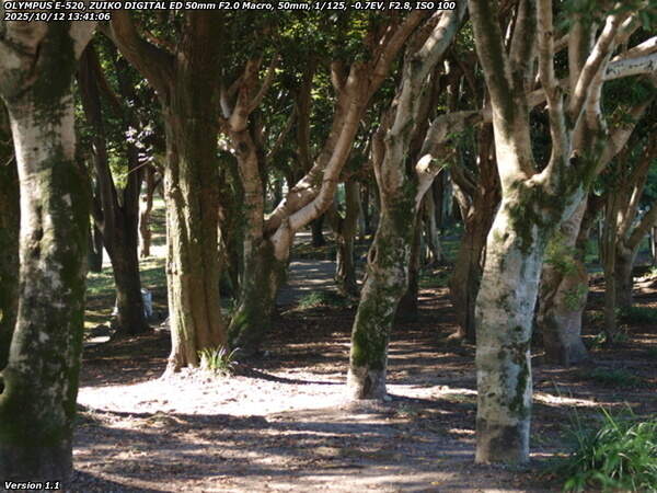 南立石公園(別府市) 南立石公園を境川沿いに上流へ