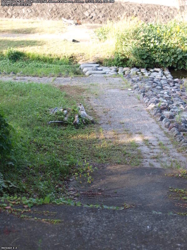 南立石公園町(別府市) 階段で河川敷へ下る