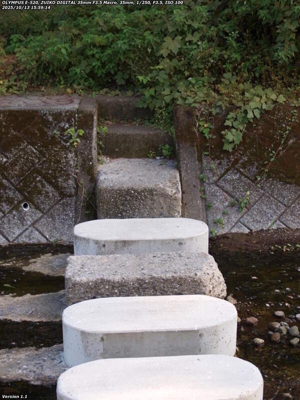 境川(別府市) 飛び石で右岸へ渡る