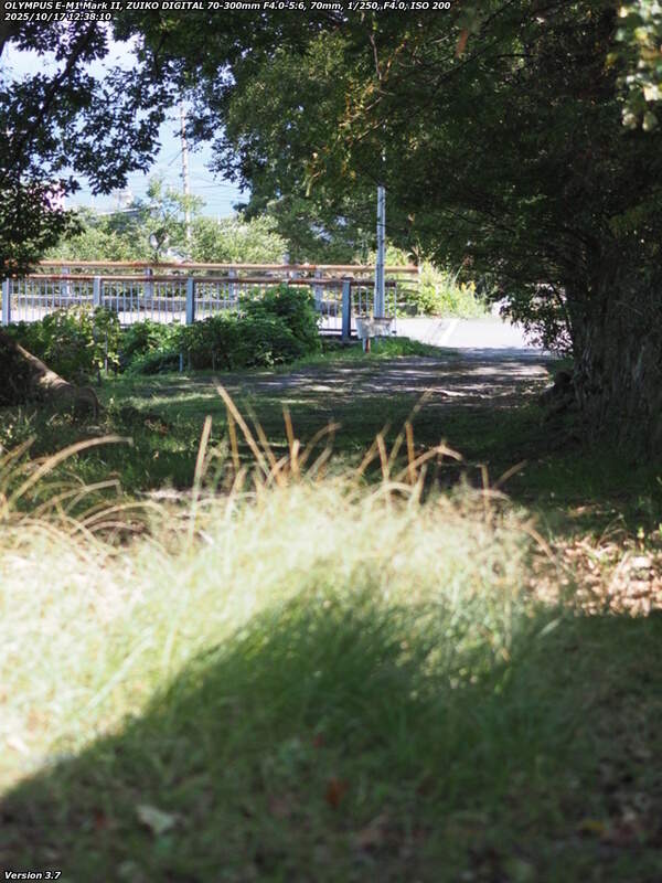 南立石生目町(別府市) 境川の土手上の未舗装路を下流へ