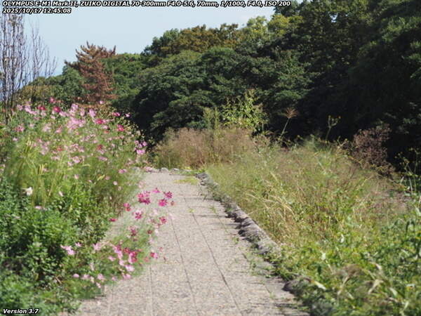 境川(別府市) 西別府団地の横の河川敷を下流へ