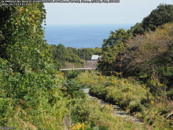 境川(別府市) イナコスの橋と別府湾