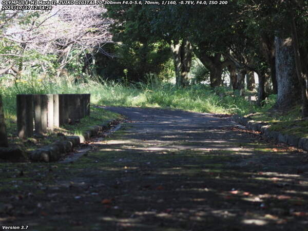 南立石公園町(別府市) 土手上の遊歩道で南立石公園へ