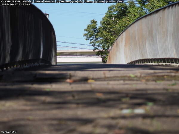 南立石公園(別府市) イナコスの橋