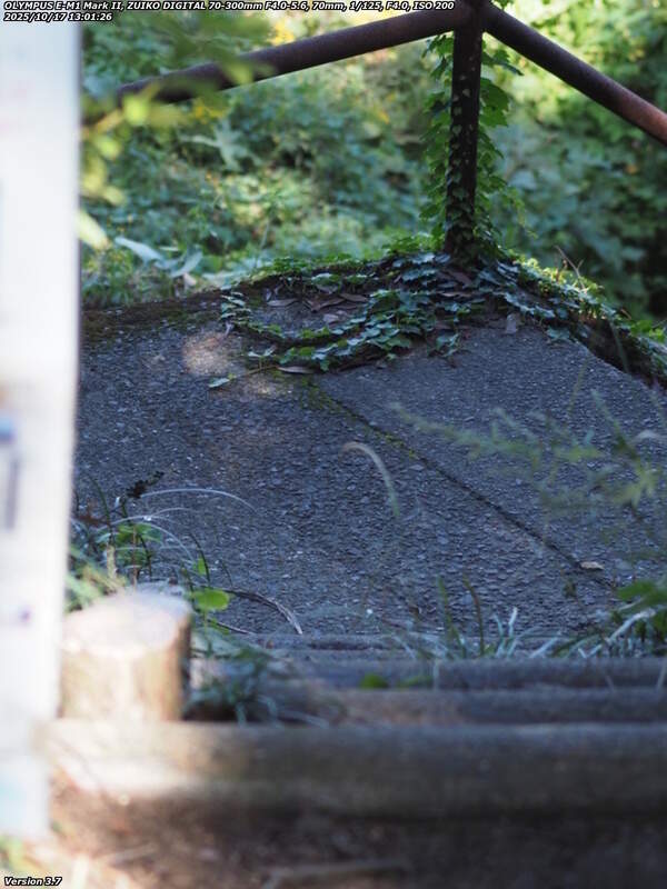 南立石公園(別府市) 階段で河川敷へ下る