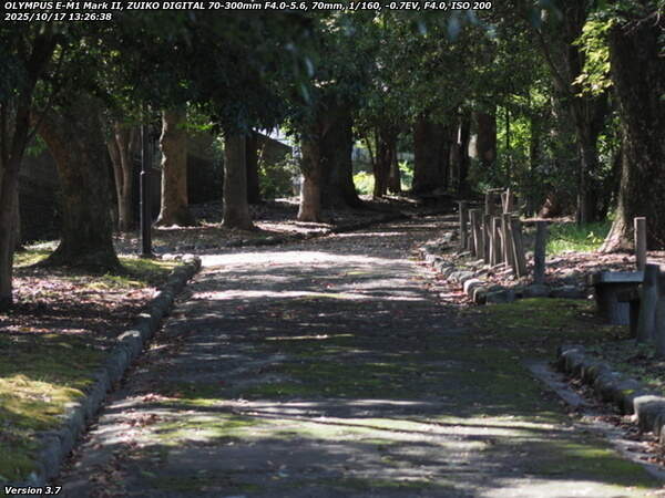 南立石公園町(別府市) 南立石公園を抜けて土手上の遊歩道を進む