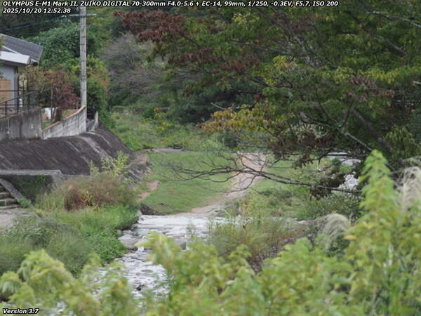 南立石公園町(別府市) 土手上の未舗装路を下流へ
