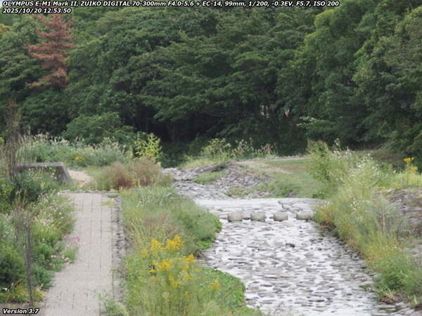境川(別府市) 西別府団地の横の河川敷を下流へ