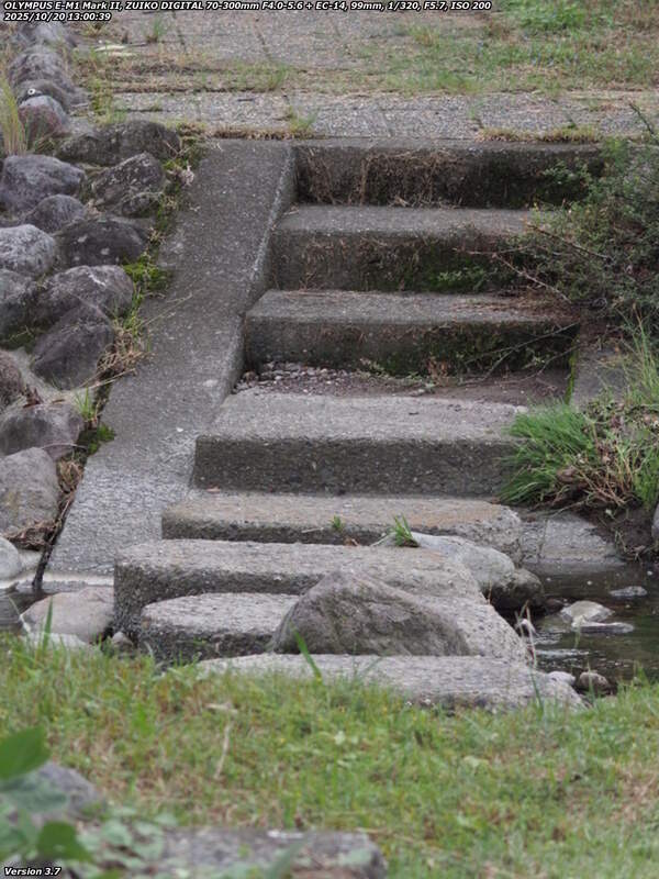 境川(別府市) 飛び石で右岸へ渡って階段で土手上へ