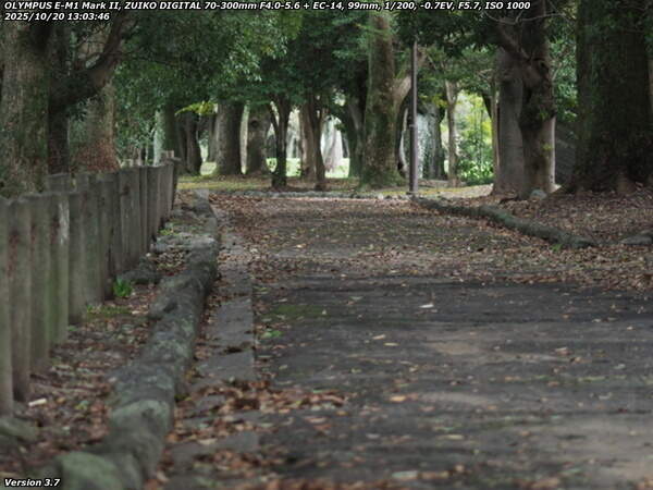 南立石公園町(別府市) 土手上の遊歩道で南立石公園へ