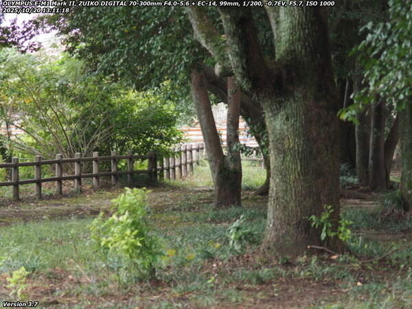 南立石公園(別府市) 南立石公園を境川沿いに下流へ