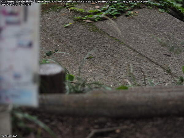 南立石公園(別府市) 階段で河川敷へ下る