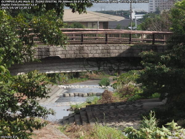 境川(別府市) であい橋