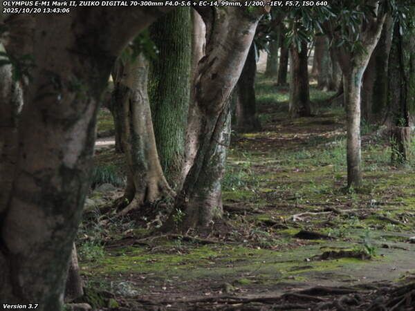 南立石公園(別府市) 境川沿いに上流へ