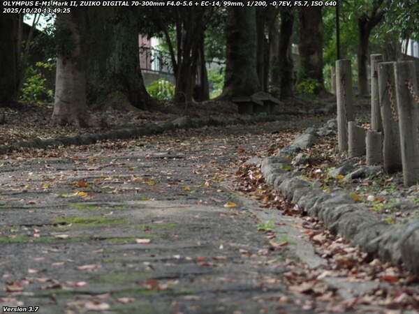 南立石公園町(別府市) 土手上の遊歩道を進む