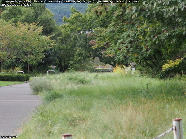 南立石公園町(別府市) 西別府団地の横の草地へ出ると西別府橋が見えてくる