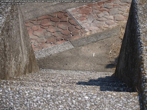扇山町(別府市) 階段で河川敷へ