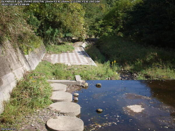 境川(別府市) 左岸から眺める下流の様子