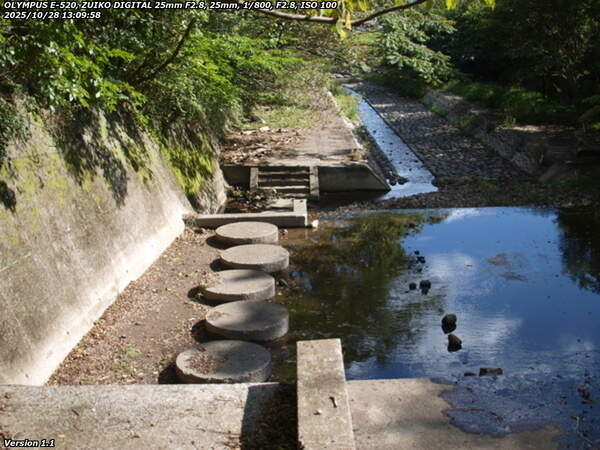 境川(別府市) 円形の五連と四連の飛び石