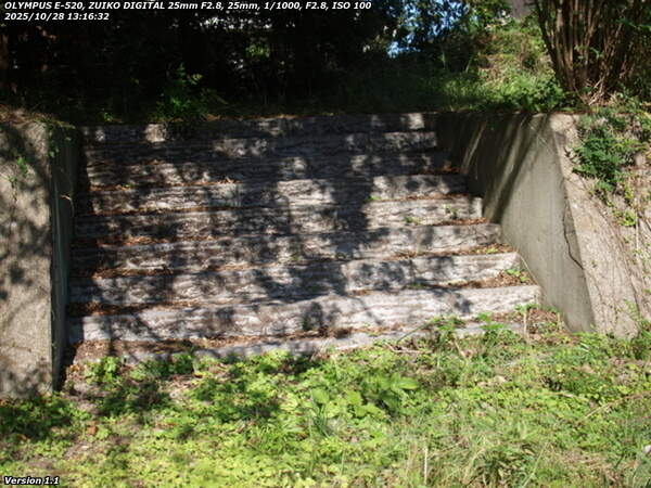 境川(別府市) 階段で土手上の草地へ