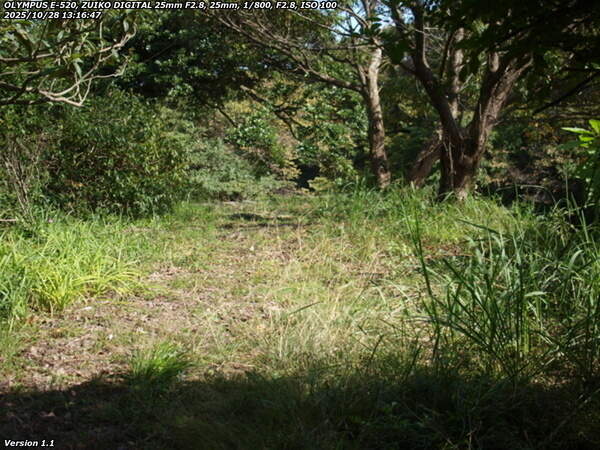 境川(別府市) 土手上の草地を進む