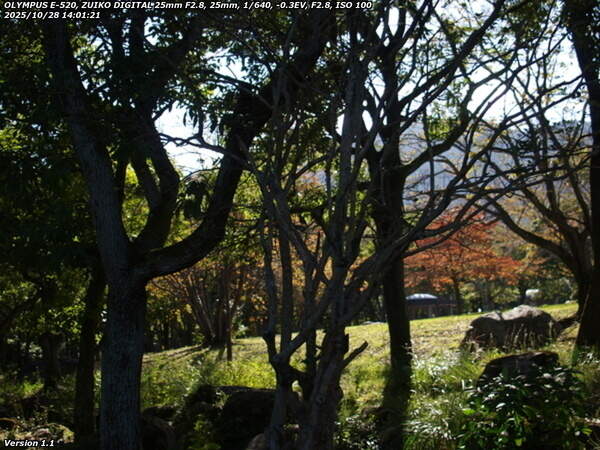 南立石公園(別府市) ジョウビタキのメス