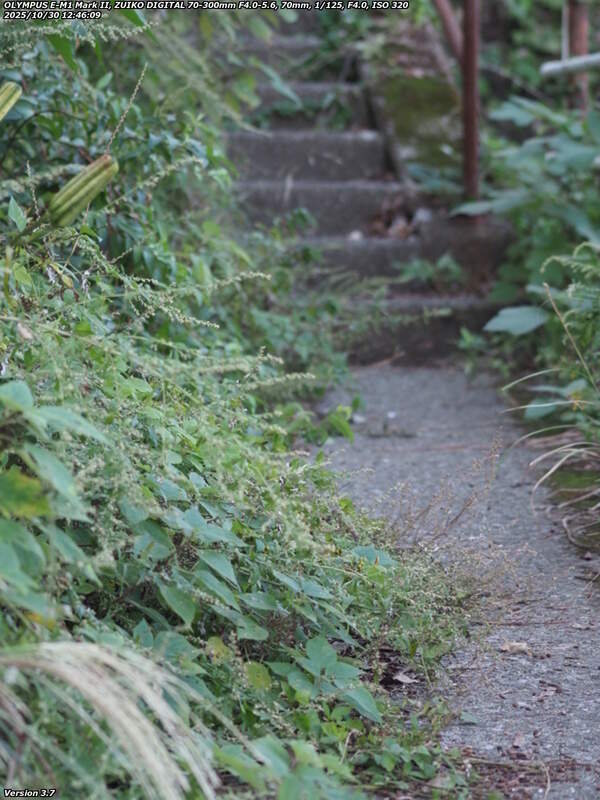 境川(別府市) 階段で南立石公園へ