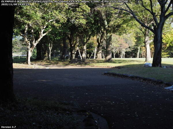 南立石公園(別府市) 南立石公園を歩く