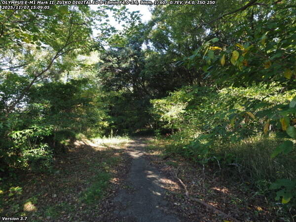 鶴見園公園(別府市) 鶴見園公園を歩く