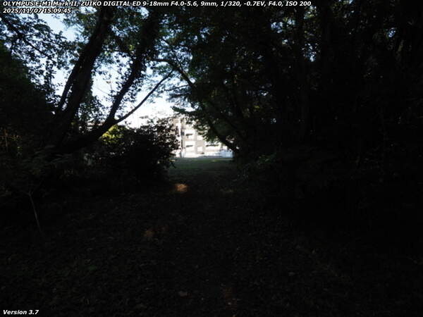 鶴見園公園(別府市) 道路へ続く踏み分け道