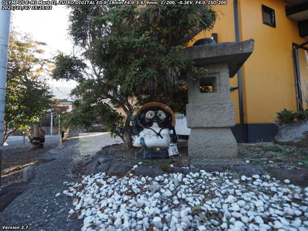 南荘園町(別府市) 先生のジュニアにもご挨拶