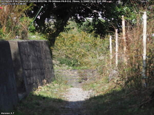 南立石生目町(別府市) 高速道路のすぐ下流から細い未舗装路で河川敷へ