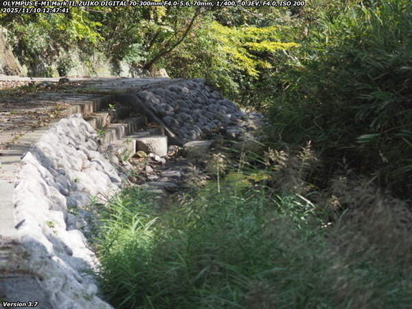 境川(別府市) 河川敷の左岸を下流へ