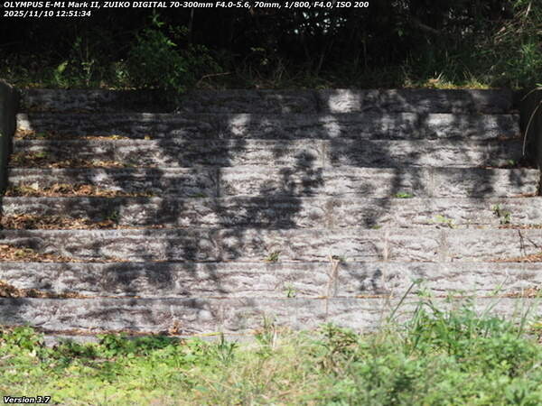 境川(別府市) 階段で土手上の草地へ