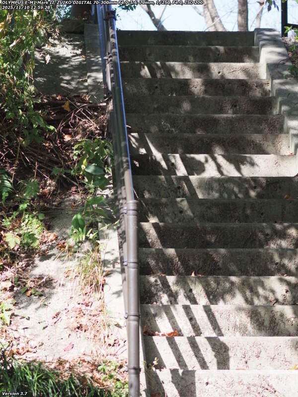 境川(別府市) 階段で扇山町側の道路へ上がる