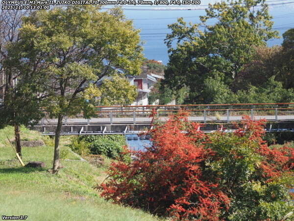 扇山町(別府市) 境川沿いの道路を下る