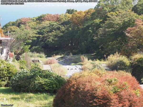 扇山町(別府市) 境川沿いの道路を下る