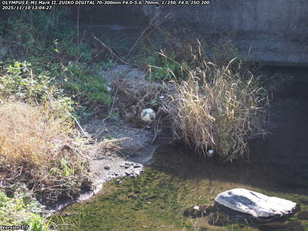 境川(別府市) 砂防ダムに落ちたサッカーボール