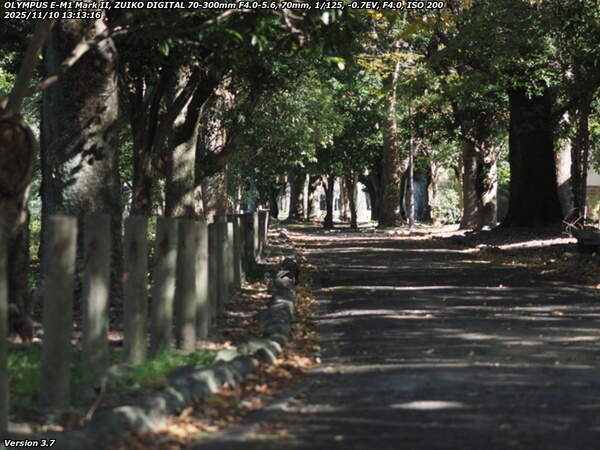 南立石公園町(別府市) 土手上の遊歩道を南立石公園へ