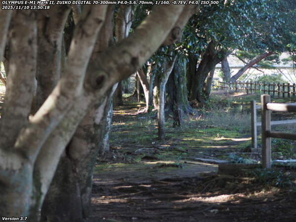 南立石公園(別府市) 南立石公園を境川沿いに上流へ