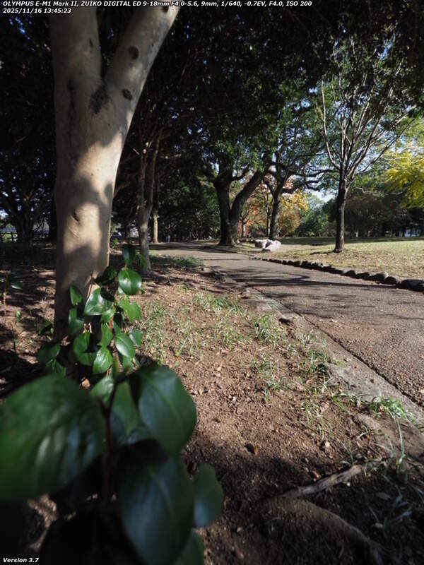 南立石公園(別府市) 南立石公園を境川沿いに下流へ進む