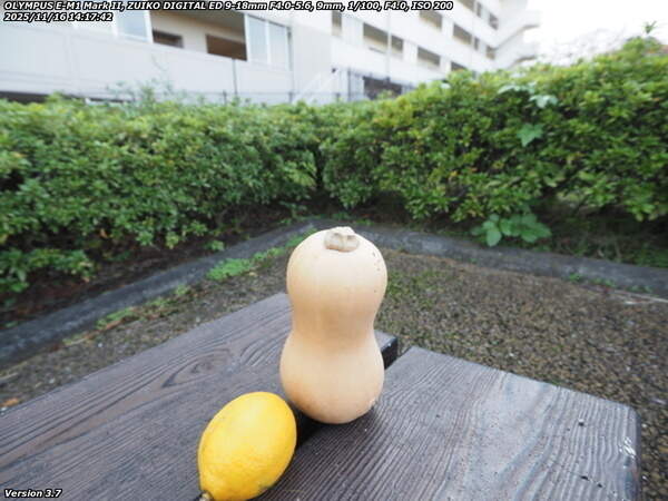 南立石公園町(別府市) レモンとバターナッツかぼちゃ