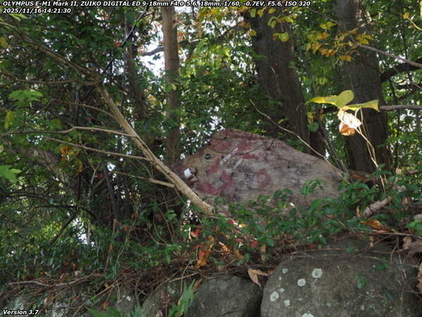 南立石生目町(別府市) 乙事主様