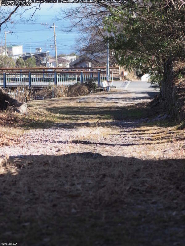 南立石生目町(別府市) 土手上の未舗装路を下る